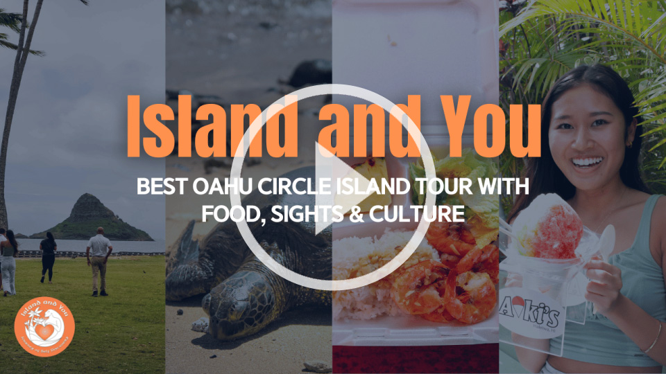 Island and You video play