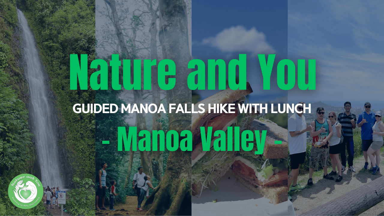 Manoa hiking tour promo video