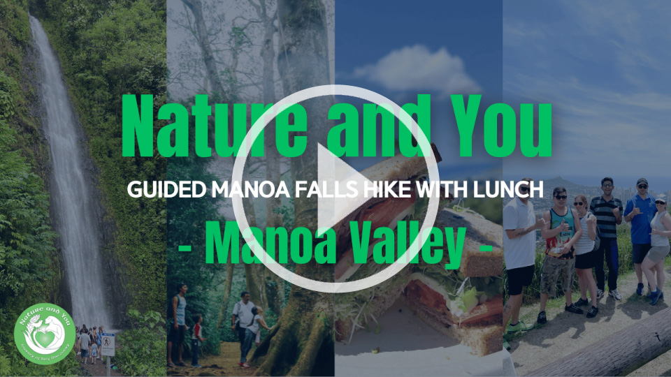 Manoa hiking tour promo video play