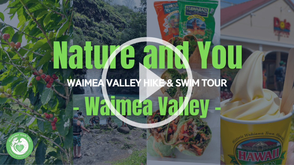 Waimea Valley video play