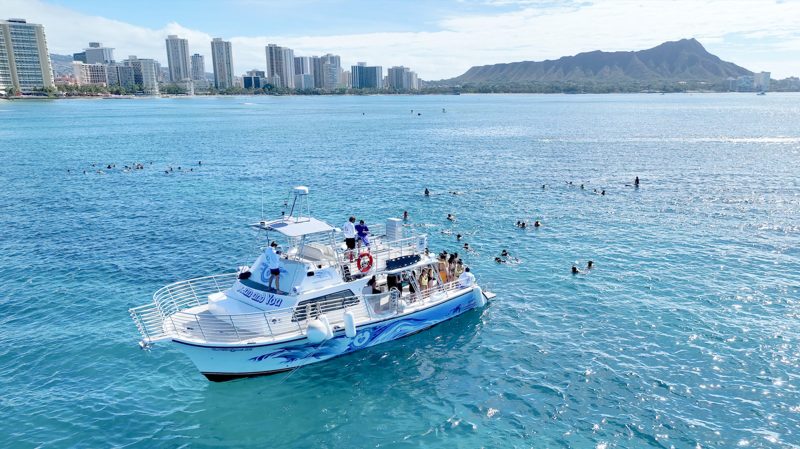 hawaiian sea animal tours