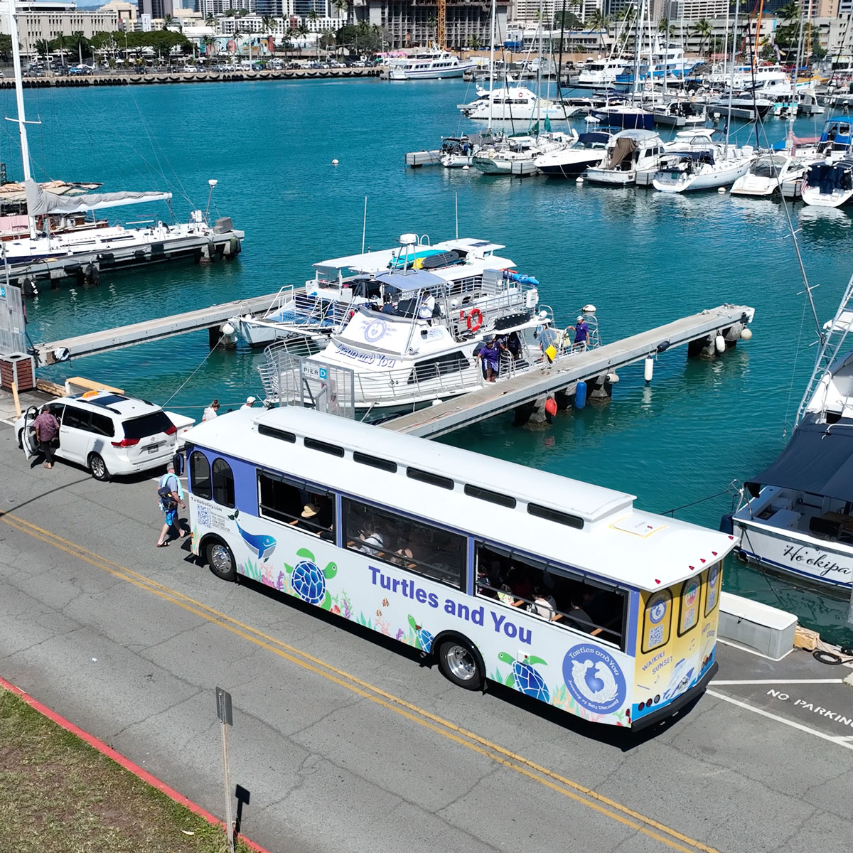 Whales and You Trolley pickup