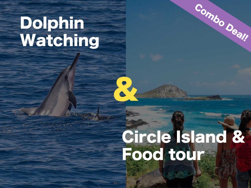 Combo - Dolphin watching & Oahu circle island tour