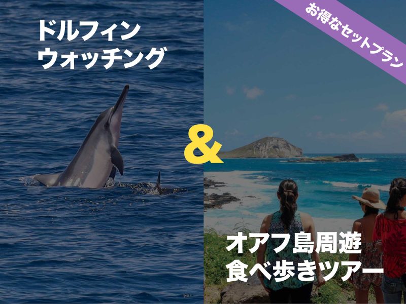 ドルフィンツアーとオアフ島１周ツアーのセットプラン