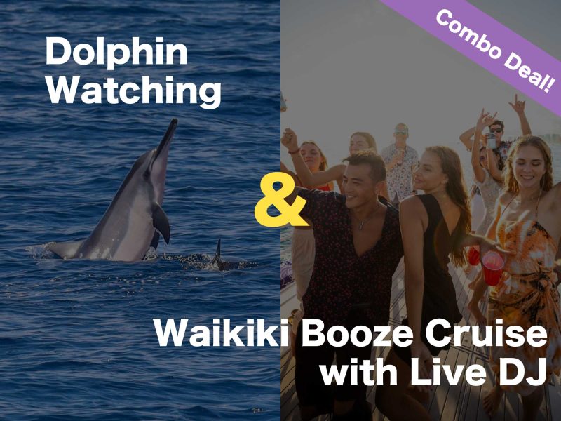 Combo - Dolphin watching & Waikiki Booze cruise