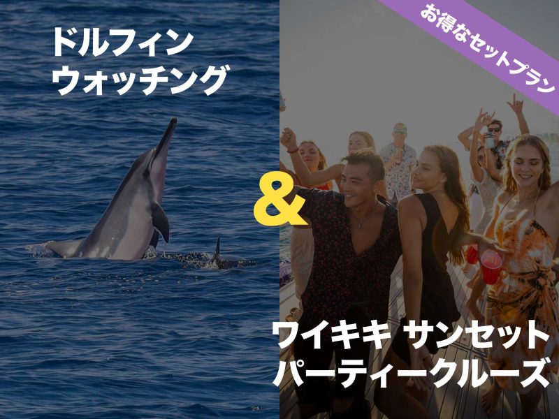 ドルフィンツアーとサンセットパーティークルーズのセットプラン