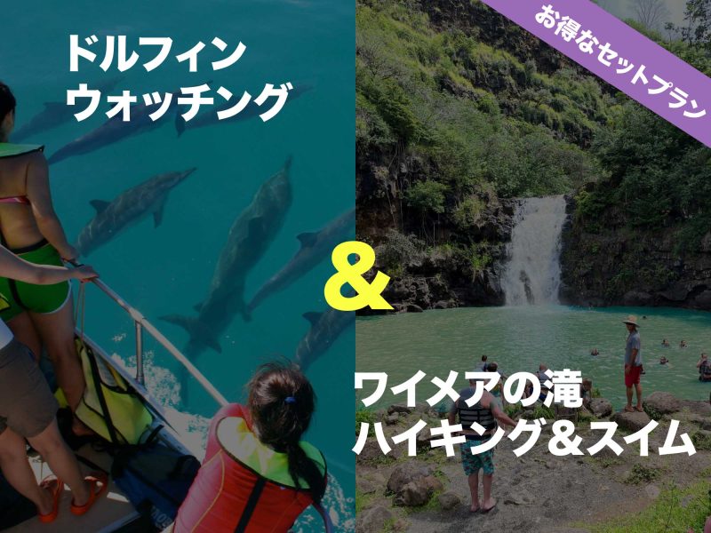 ドルフィンツアーとワイメアツアーのセットプラン