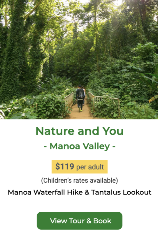 Manoa Falls hiking tour
