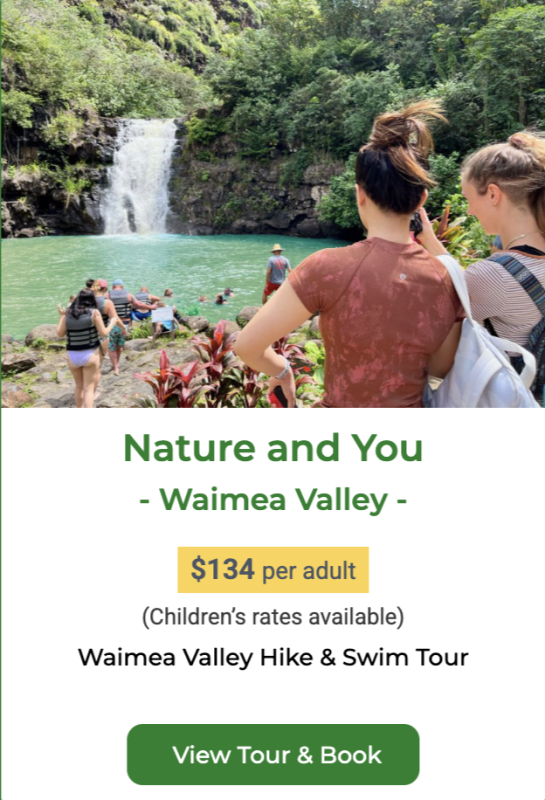 Waimea Waterfall hike and Swim tour