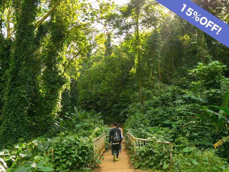 Discounted Manoa Falls hiking