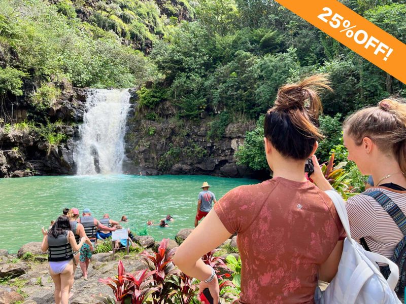 Discounted Waimea falls hiking&Swim tour