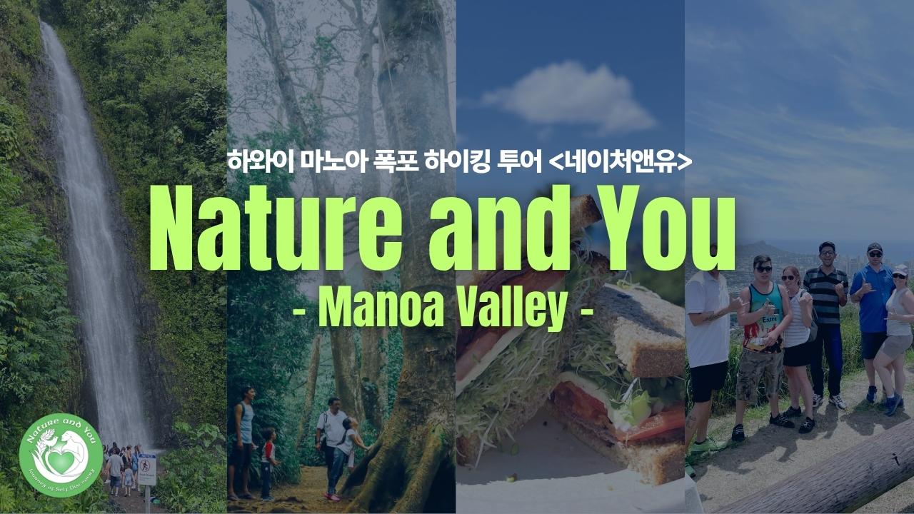 manoa 네이처앤유 마노아