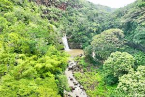 Cultural Etiquette in Hawaii: Do’s and Don’ts for Visitors