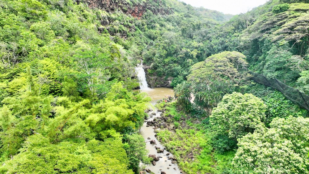 You are currently viewing Cultural Etiquette in Hawaii: Do’s and Don’ts for Visitors