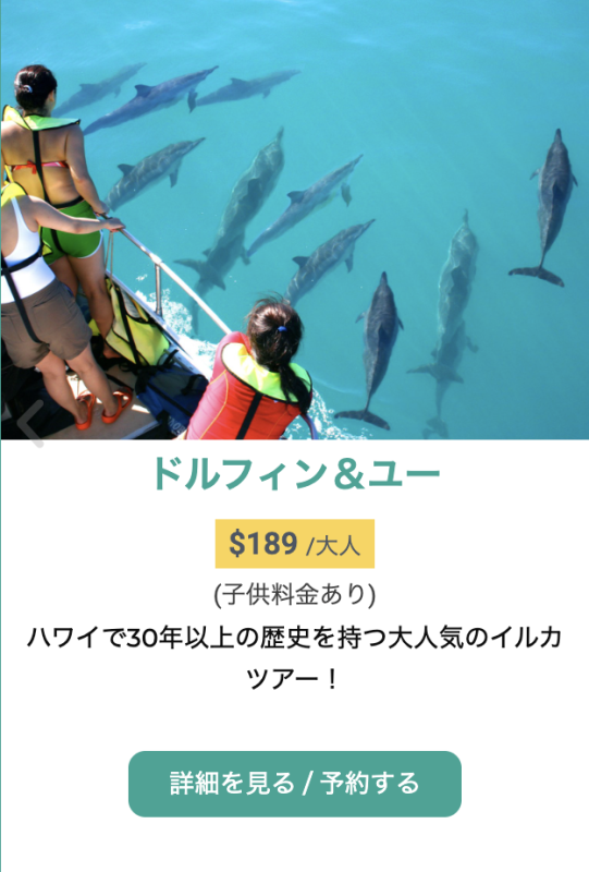 ハワイ　イルカツアー