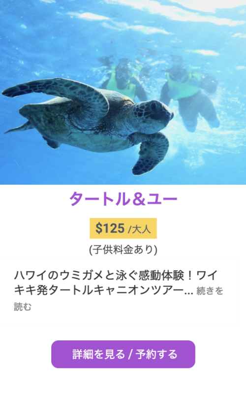 ハワイ　ウミガメとシュノーケルツアー