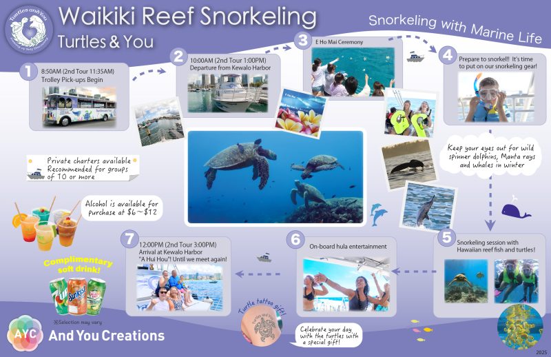 Turtles and You front