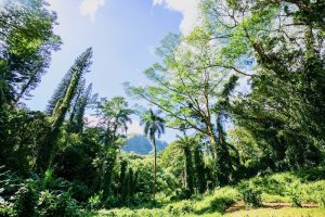 best things to do in oahu