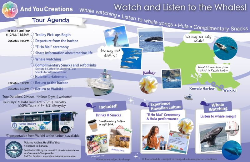 Oahu Whale watching tour