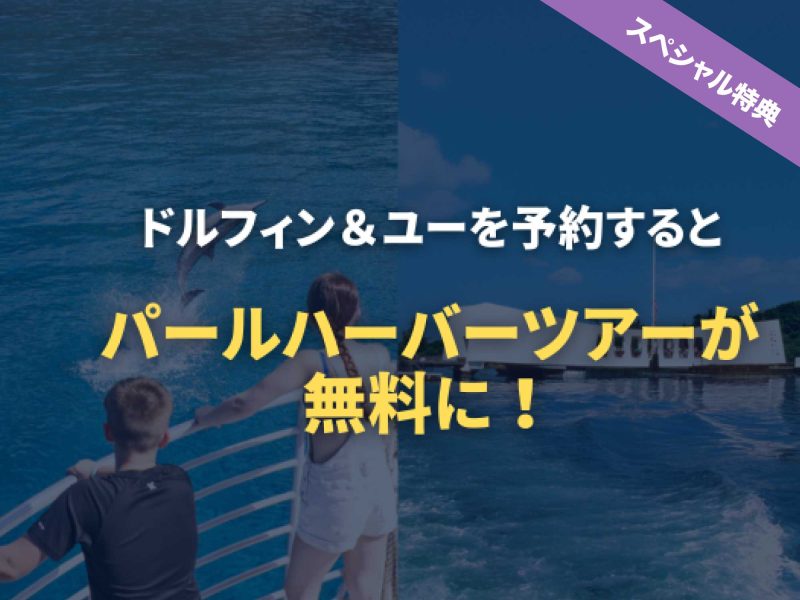 Pearl Harbor and Dolphin watching combo