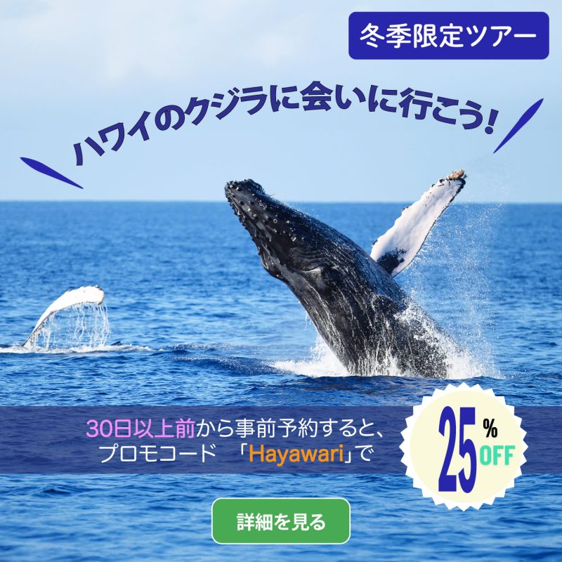 ハワイ　ホエールウォッチングツアー　割引き