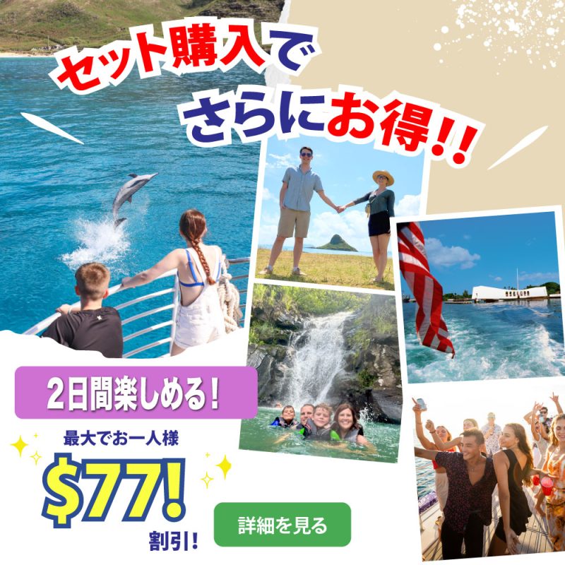 お得なセット割引き