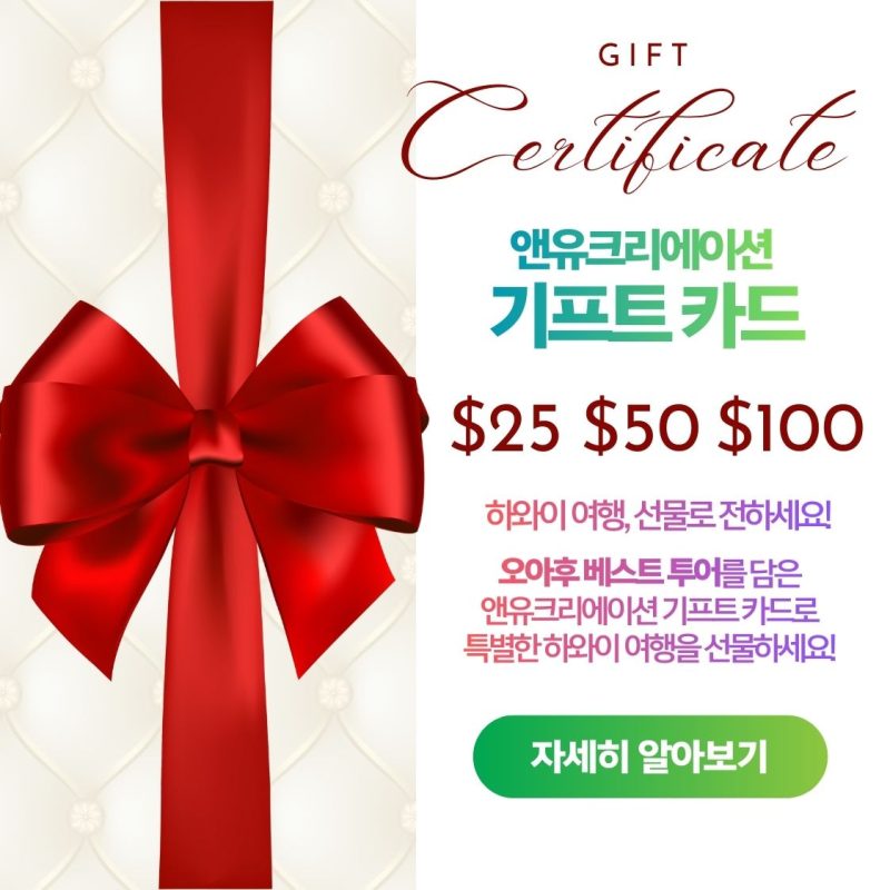 앤유크리에이션 기프트 카드