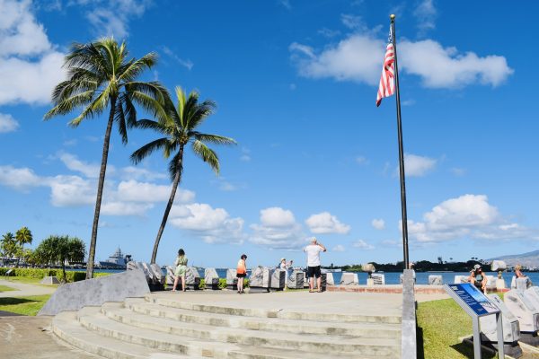 Oahu Pearl Harbor Dolphin